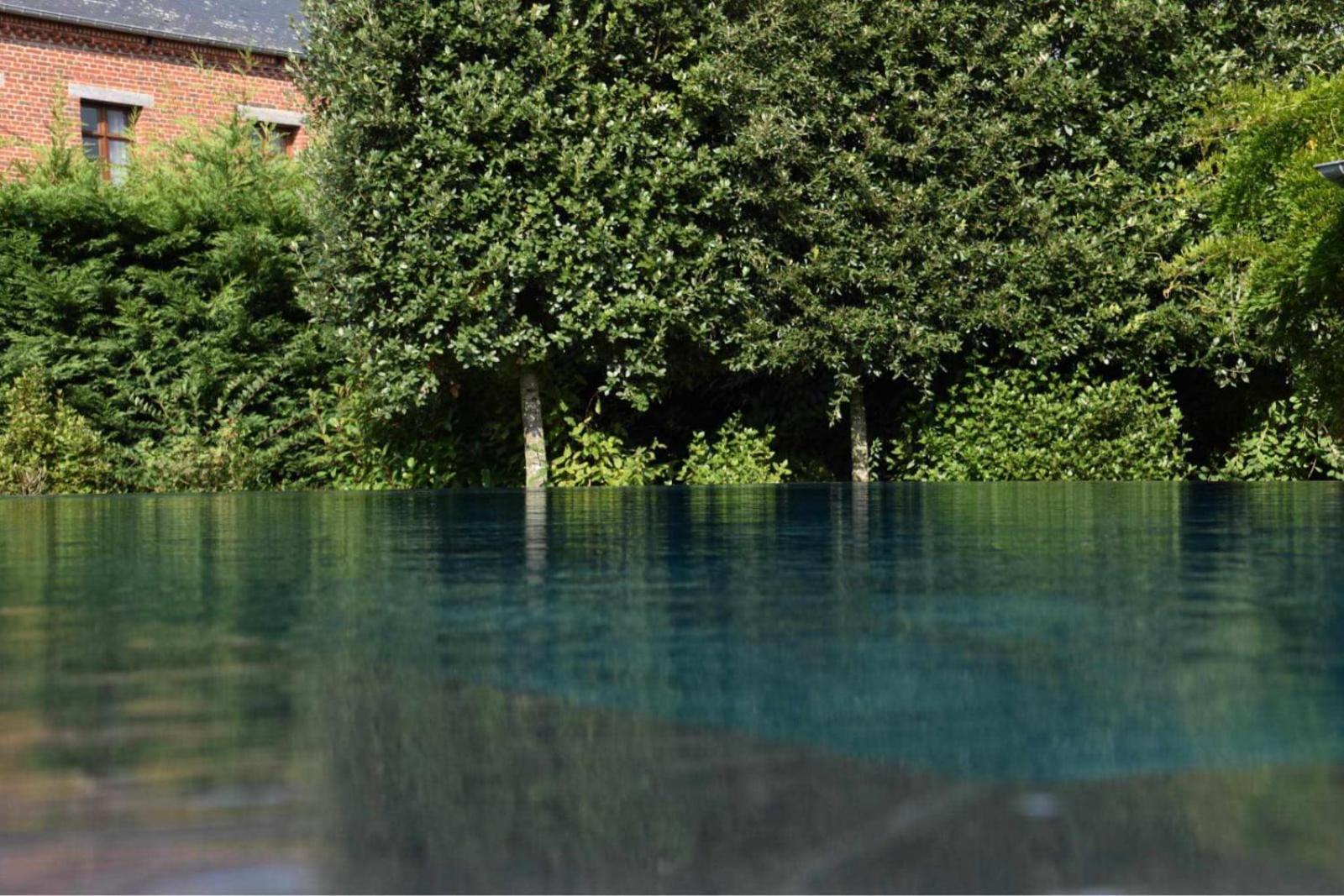 De Luxe Avec Piscine Et Jacuzzi Xxl * Dourlers